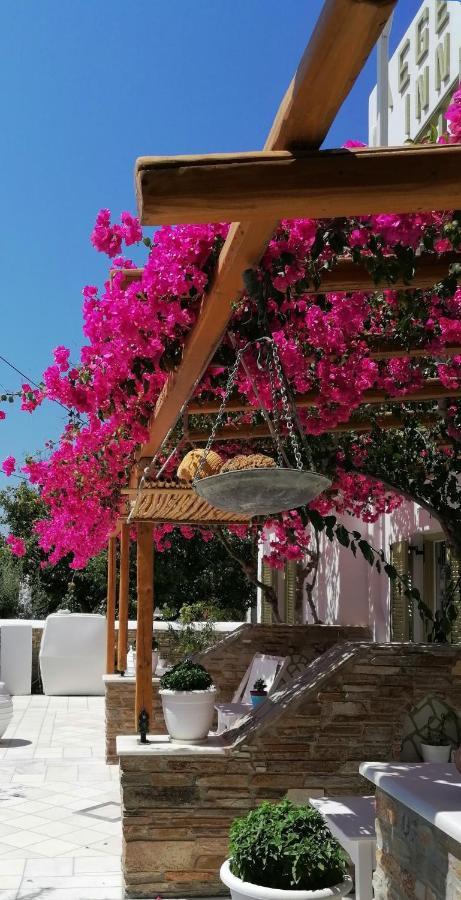 Aegeo Inn Antiparos Ngoại thất bức ảnh